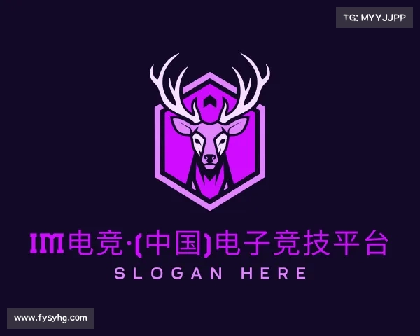 网页版im电竞·(中国)电子竞技平台